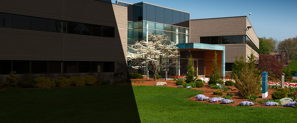 Annapolis Junction Landscapers