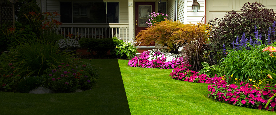 Annapolis Junction Landscapers