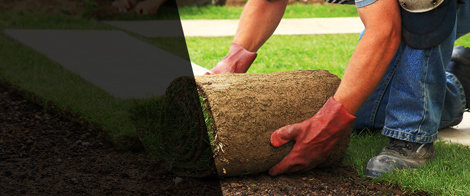 Annapolis Junction Landscapers